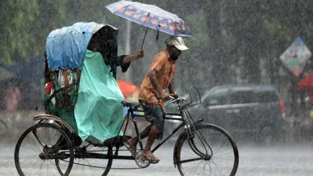 rain-n-1717596058