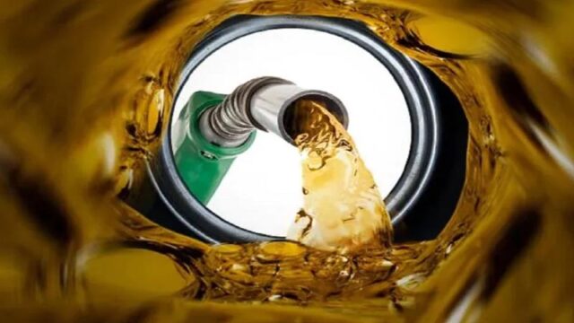oil-2501110305
