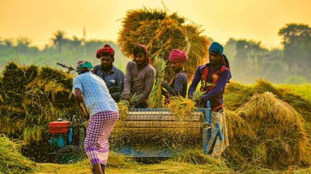 rice-1744206325