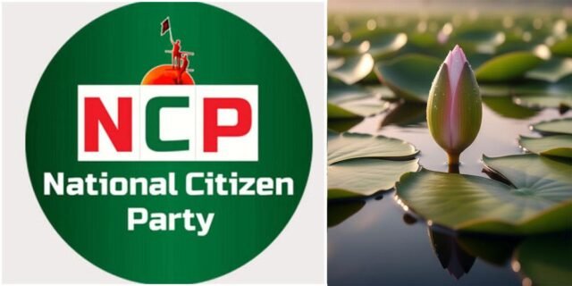 Untitled-32-1761819446