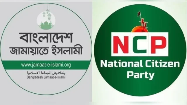 image_233825_1761051679