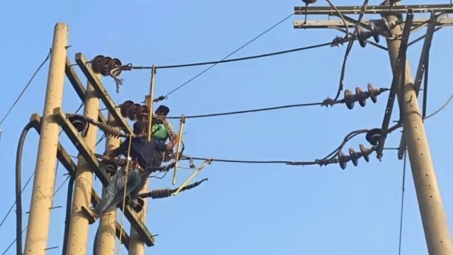 02cf514c493390b52b640cd909945fa7-6871173d8610a