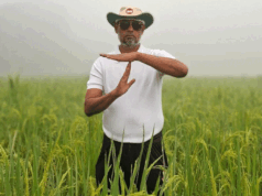 ধানক্ষেতে রিভিউ আবেদন, আলোচনায় বিএনপি মনোনয়ন প্রত্যাশী আলাল উদ্দিন