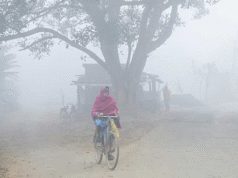 কুয়াশা ও তাপমাত্রা নিয়ে নতুন বার্তা দিলো আবহাওয়া অফিস