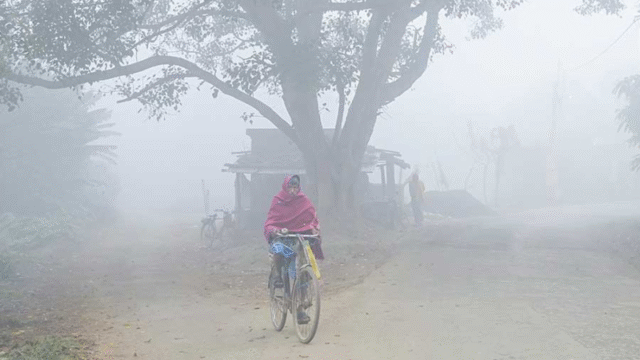 BeFunky-collage-30-2511070024