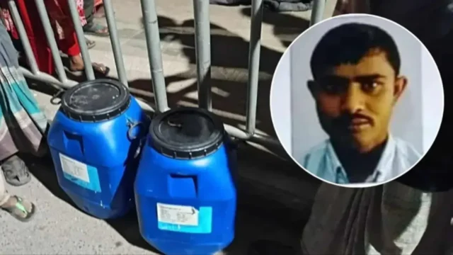 image_240641_1763140973