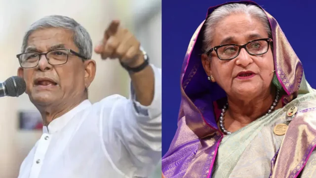 image_241137_1763289332