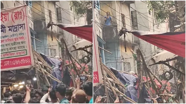 image_242640_1763737519