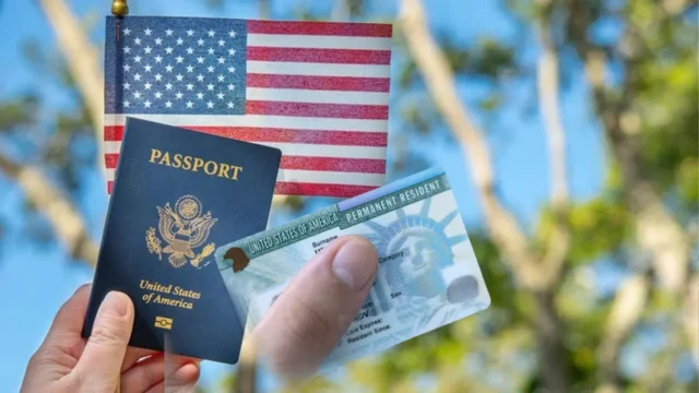 image_244547_1764298906