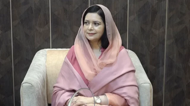 image-246385-1764853458