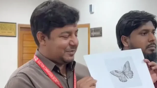 image_246419_1764859218