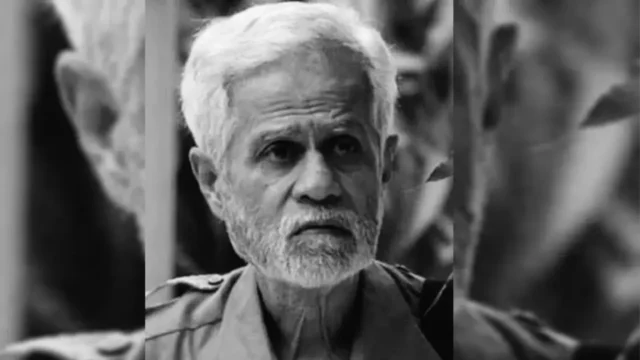 image_247360_1765164086