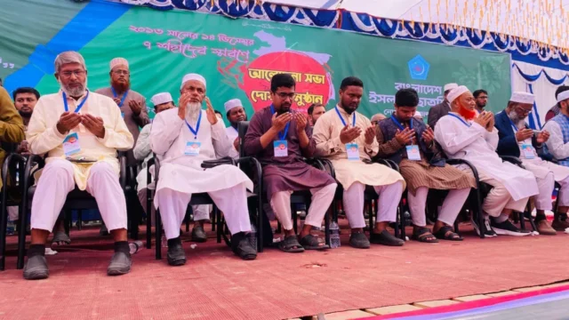 image_248916_1765645134