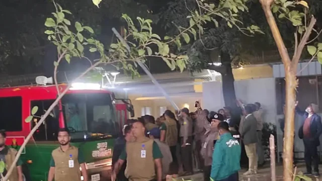 image_254650_1767535627