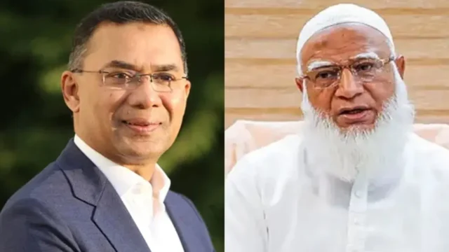 image_256010_1767953415