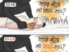 শাপলাকলিতে ভোট দেওয়ায় এক নারীকে ধ’র্ষণ করে বিএনপির নেতারা