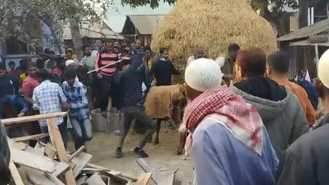 image-79136-1770132018 (1)