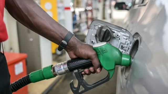 image_262168_1769880305