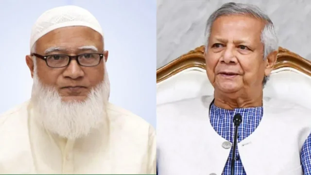 image_266447_1771053047