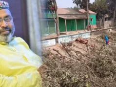 গাছ কাটা সেই বিএনপি নেতা গ্রেপ্তার