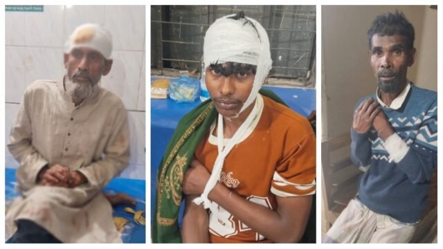 wohed-razu-14-2602211714