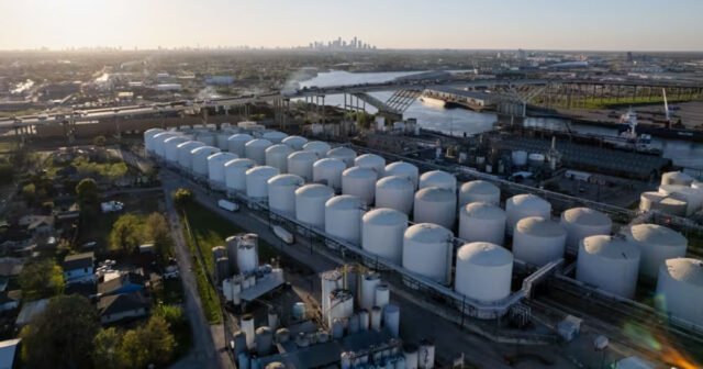 1773647501-5872c90063d45931424f88c2651ef574