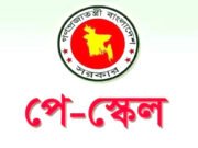 পে স্কেল পুনর্বিবেচনা প্রসঙ্গে যা বললেন ড. দেবপ্রিয় ভট্টাচার্য