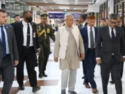 ড. ইউনূসের এসএসএফ নিরাপত্তা নিয়ে যে তথ্য জানালেন শফিকুল আলম