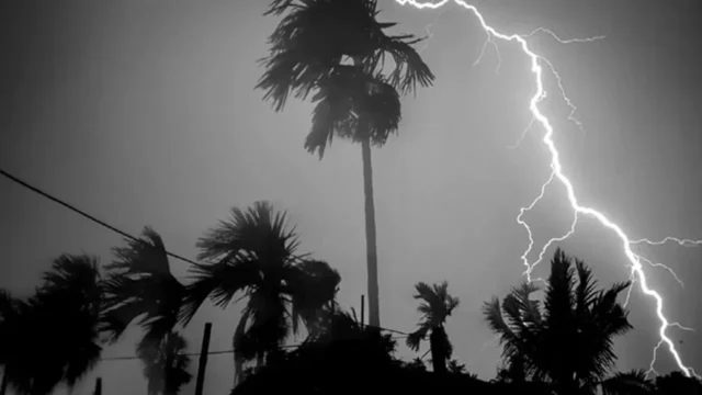 image_275619_1774024037