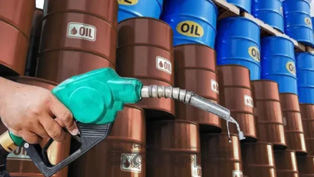 image_276658_1774525407