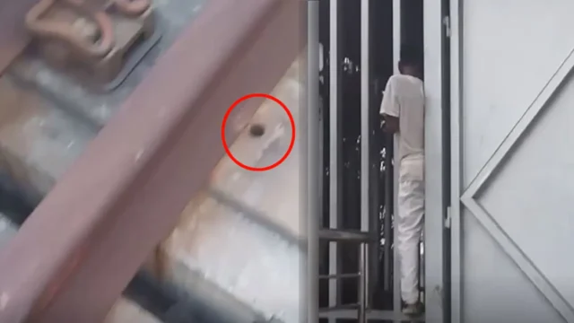 image_277136_1774678639