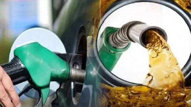 image_278080_1774956266