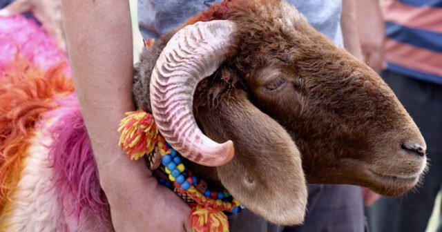 1776239017-b33252b1573d07b1f9eb699dbc2e0cc4