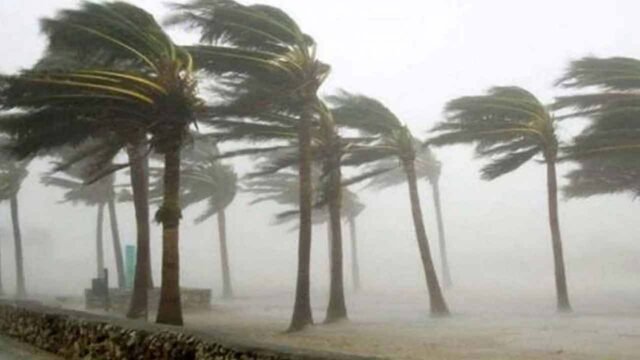 image-84172-1775268477