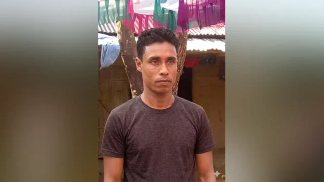 image_279341_1775319956