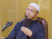 ভিসা বাতিল ইস্যুতে মুখ খুললেন আহমাদুল্লাহ