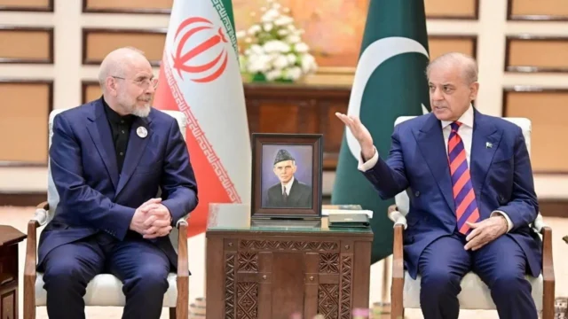 image_281581_1775959704