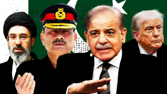 image_282240_1776154162