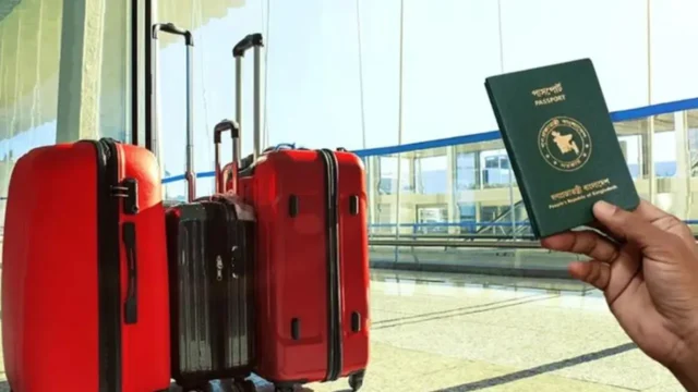 image_282438_1776247056