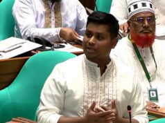 লোকজন আমাকে বেঁধে রাখবে, রাস্তাটি ‘ভিক্ষা’ চাই: সংসদে হাসনাত