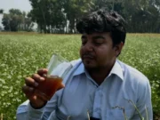 সীমান্ত বাংলাদেশিদের জন্য অনিরাপদ হলে, বিএসএফকেও ঘুমাতে দেওয়া যাবে না: তারেক