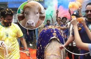 লালগালিচায় রাজকীয় বিদায় হলেও কোরবানি হচ্ছে না ‘ডোনাল্ড ট্রাম্প’, নেপথ্যে যে কারণ