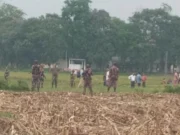 শূন্যরেখার কাছে বেড়া নির্মাণের চেষ্টা, বিজিবির বাধায় পিছু হটলো বিএসএফ