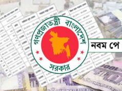নবম পে স্কেলে বড় সুখবর, বেসিকের হাফ বেতনে কোন গ্রেডে কত বাড়ছে