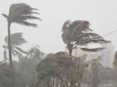 সন্ধ্যার মধ্যে যেসব জেলায় ঝড়ের শঙ্কা