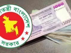 নতুন পে-স্কেল: বেসিকের হাফ বেতনের গ্রেড প্রকাশ