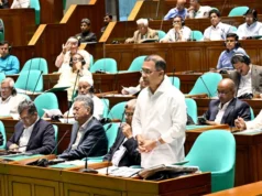 পে-প্যাল চালুর সুসংবাদ দিয়ে যা বললেন প্রধানমন্ত্রী