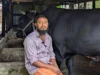 খালেদা জিয়াকে ‘কালো মানিক’ উপহার দেওয়া সোহাগ মৃধা গ্রেপ্তার