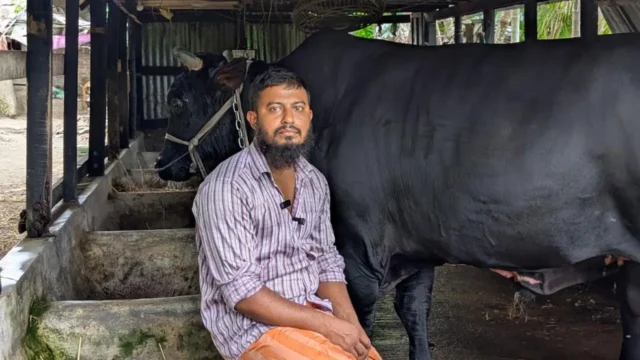 patuakhali-20260614143029