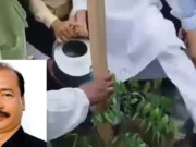 বৃক্ষরোপণ কর্মসূচিতে বিএনপি নেতাকে লাথি দিলেন এমপি
